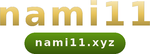 nami11 logo